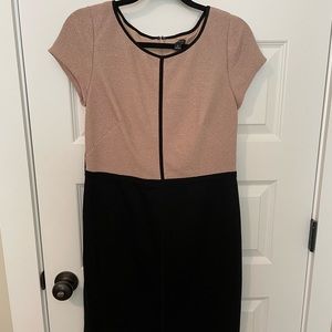 Anne Taylor knee length dress